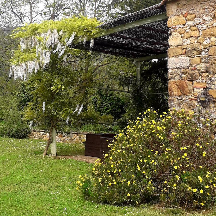 Can Pedragos Sales de Llierca Bagian luar foto