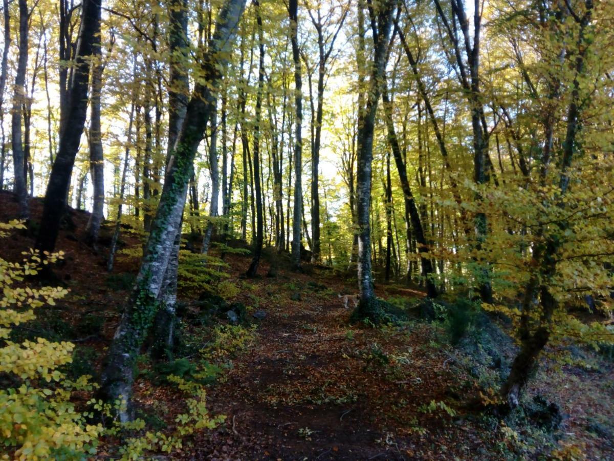 Can Pedragos Sales de Llierca Bagian luar foto