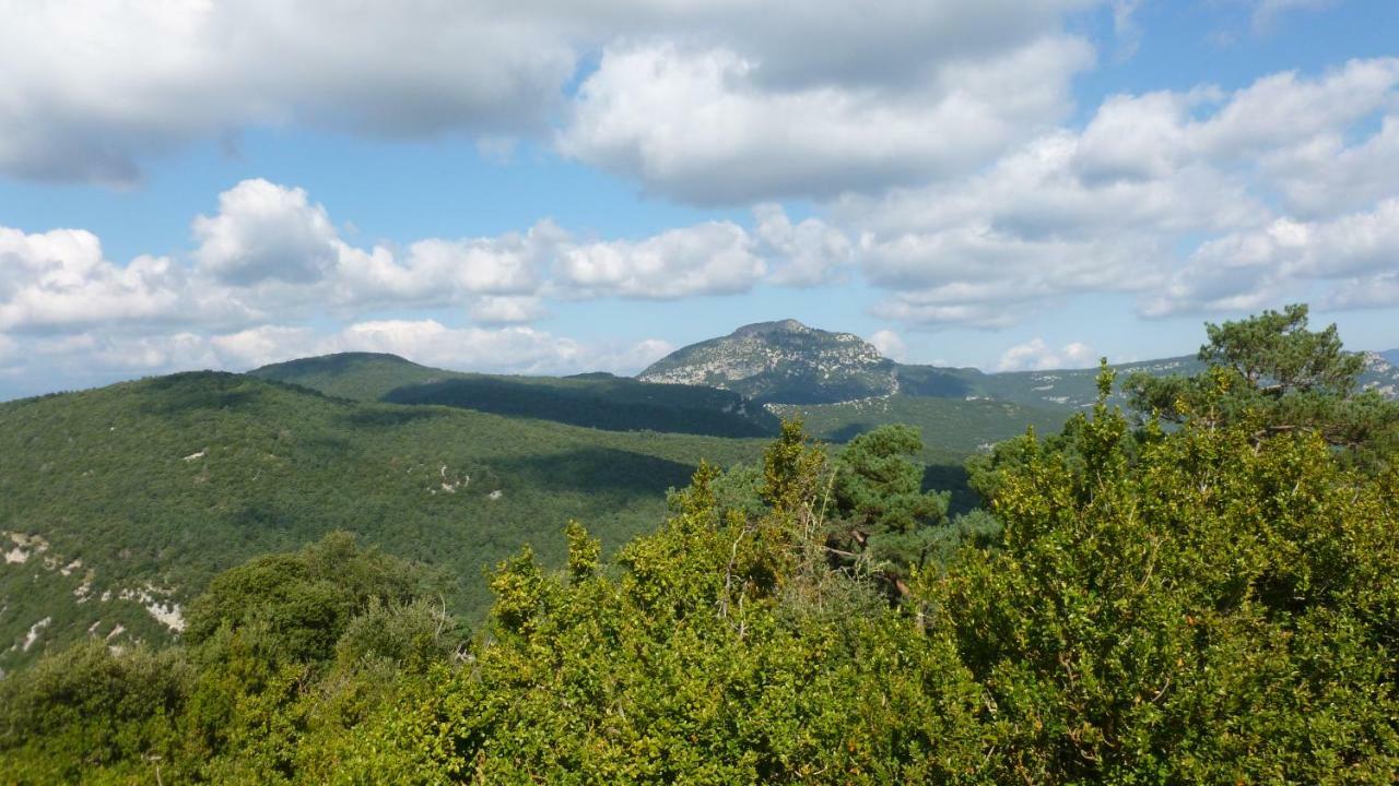 Can Pedragos Sales de Llierca Bagian luar foto